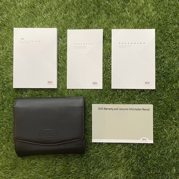 2020 KIA Telluride Owners Manual - Picture 1 of 11